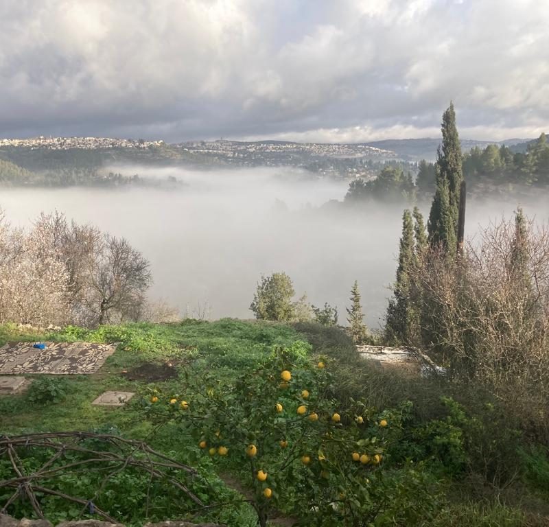ריטריט לידה מחדש